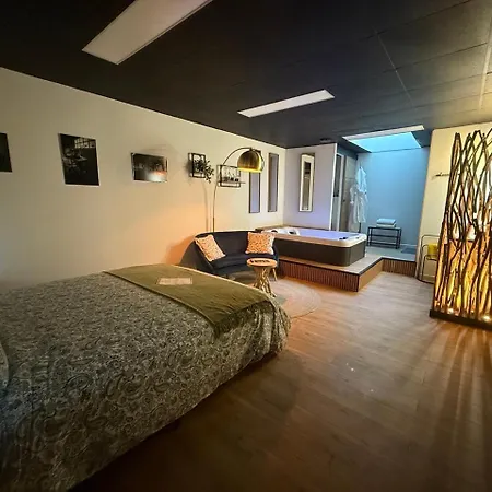 Les Lofts Du Château De Posset 4* Teloché